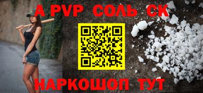 индика Камышлов