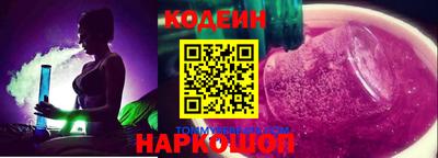 индика Камышлов