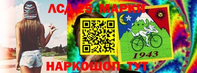 индика Камышлов