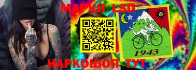 индика Камышлов