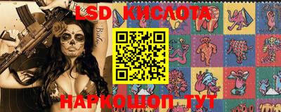 дживик Кандалакша