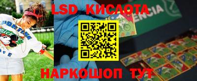 индика Камышлов