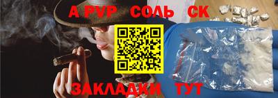 индика Камышлов