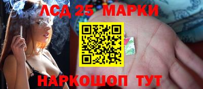 индика Камышлов