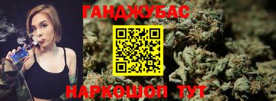 индика Камышлов
