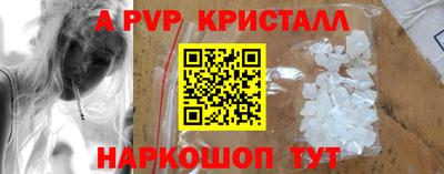 индика Камышлов