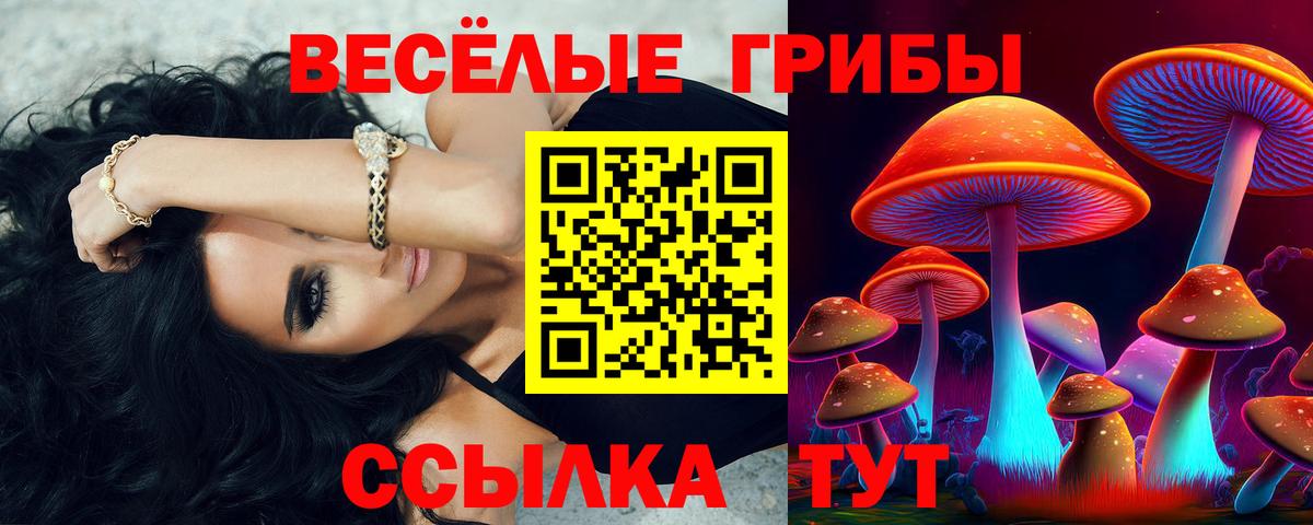 Кызыл  Галлюциногенные грибы ЛСД  Вход с VPN 